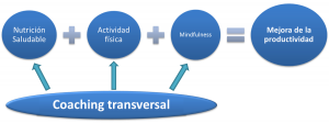 Desarrollo Actuación